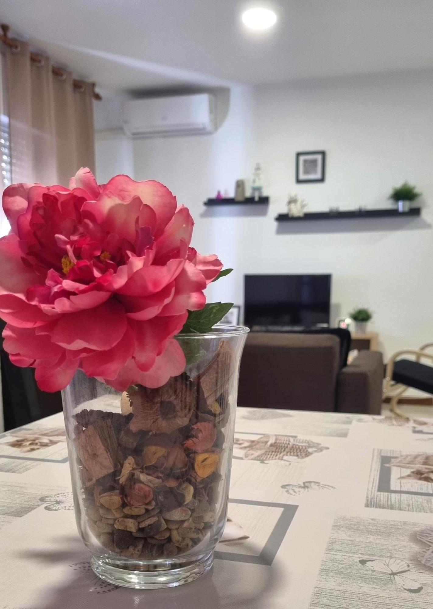 רוטה Apartamento Cayetano מראה חיצוני תמונה